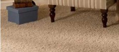 carpetes-sao-vicente-1487327831