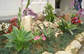 Terra Verde Vida Jardinagem - Foto 1