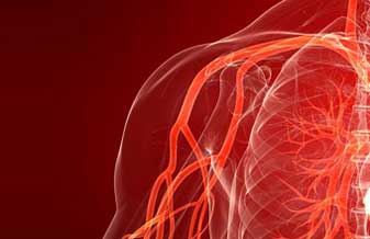 Dr. Aparecido Maurilo Zabini Junior - Foto 1