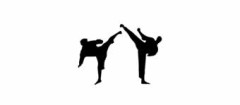artes-marciais-sao-vicente-1488918966