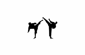 Centro de Artes Marciais São Vicente - Foto 1