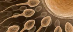 clinicas-de-fertilizacao-humana-sao-vicente-1488488908