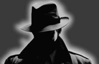 Abelha Detetive – Policial e Conjugal - Foto 1