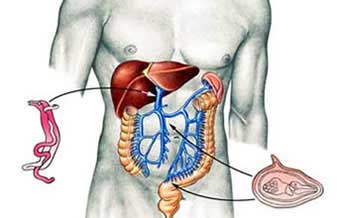 Dr. Flavio Proenca Martins de Oliveira - Foto 1