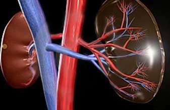 Nefrocare Clínica Nefrologia Dialise - Foto 1