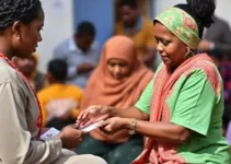 carretas do empreendedorismo e da mamografia