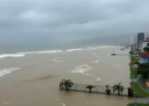 alagametos no litoral de SP