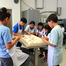 fábrica de sorvetes