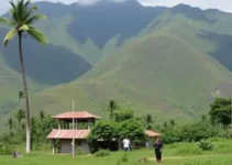 Fundo Social de São Vicente