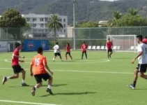 aulas esportivas gratuitas