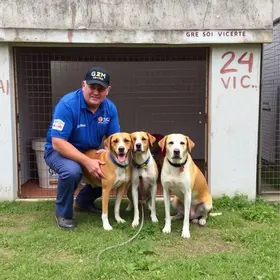 Canil da GCM de São Vicente