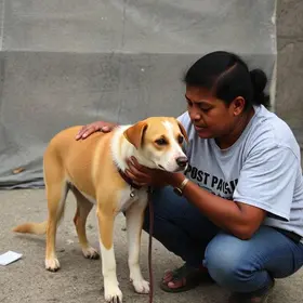 combate aos maus-tratos