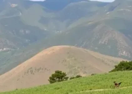 Últimas noticias de São Vicente