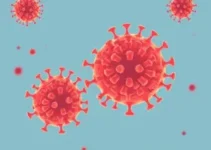 hepatites virais