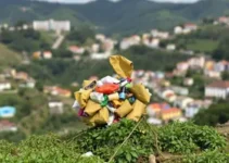Recicla SV