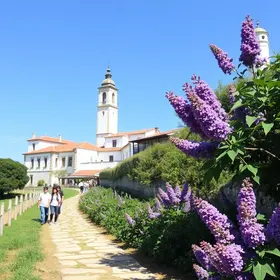Festival Gastronômico em São Vicente