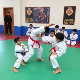 aulas de judô em São Vicente