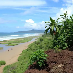 mudanças climáticas na saúde