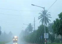 Defesa Civil São Vicente