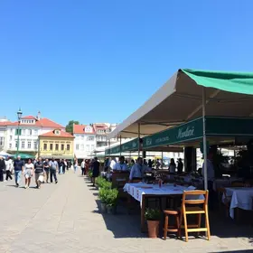 Festival Meca Gourmet