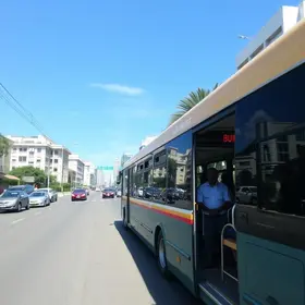 transporte municipal gratuito em São Vicente